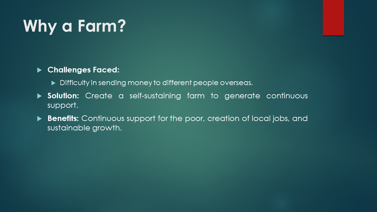14 Stars Farm — Slide 5